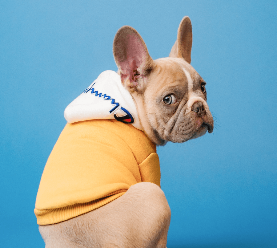 Loisirs Demo 8 Rectangle 3954