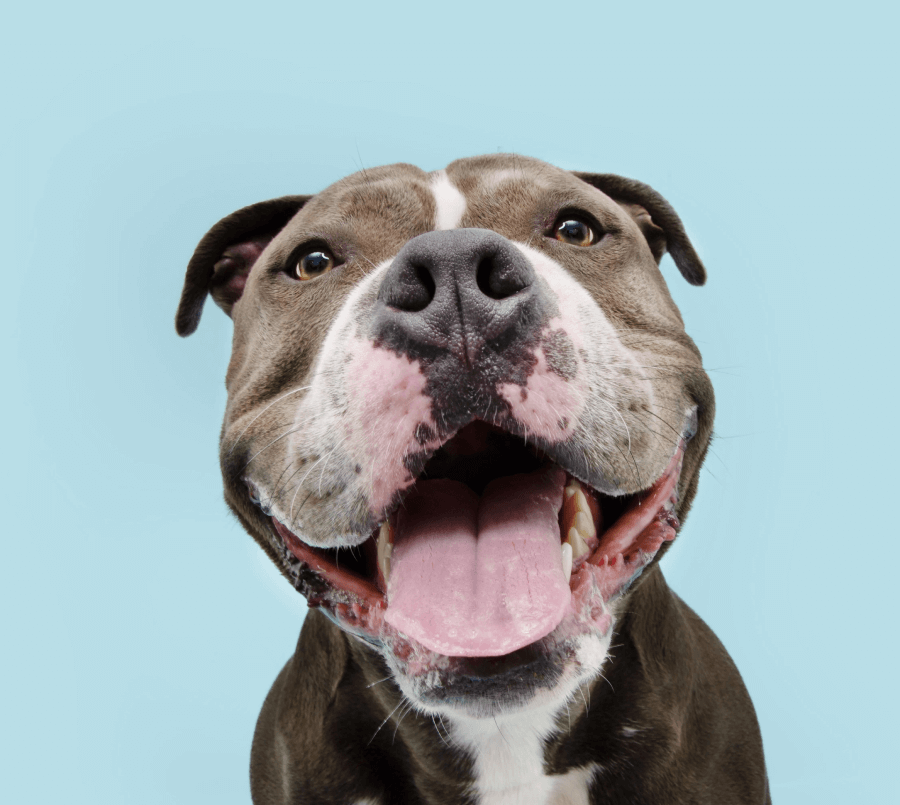 Loisirs Demo 8 Rectangle 3956